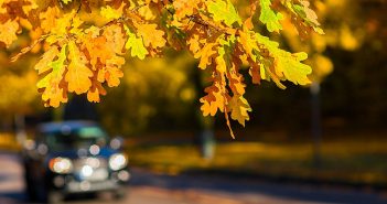 Wechselzeit bei der Kfz-Versicherung – Worauf Versicherte jetzt achten sollten!