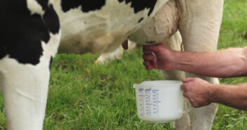 Ende der Milchquote: Was passiert nun?