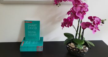 „Auf das Ranking kommt es an“ Buchrezension von Smart David vs Digital Goliath