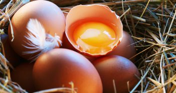 Die meisten Eier werden in Niedersachsen produziert